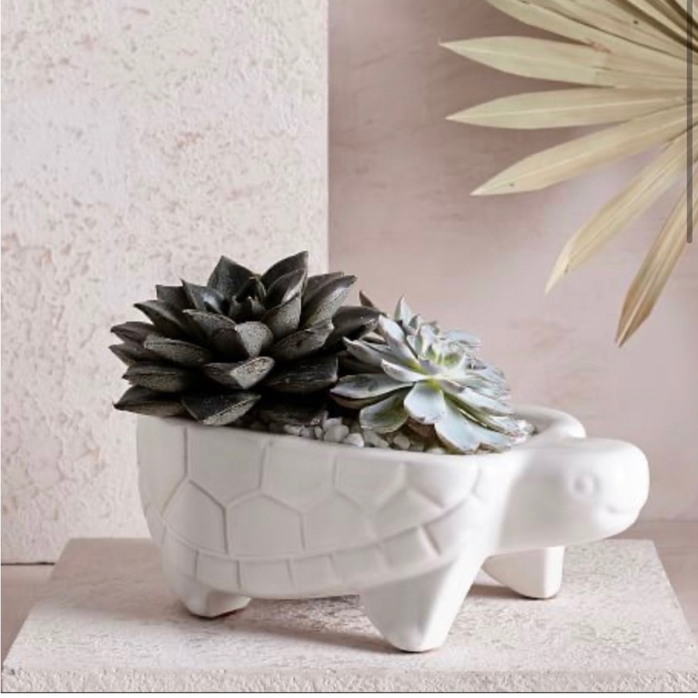 West Elm Turtle Ceramic Planter